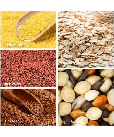 Nobleza - (500g) Parakeet Food Premium Bird Seeds Tasty Bird Food - Buy Online on GoSupps.com