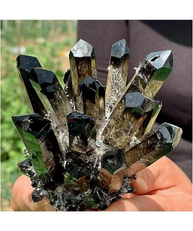 Natural Crystal Rough Crystals 1pc Black Phantom Quartz Crystal Cluster (Size : 300-350g) - Buy Online on GoSupps.com