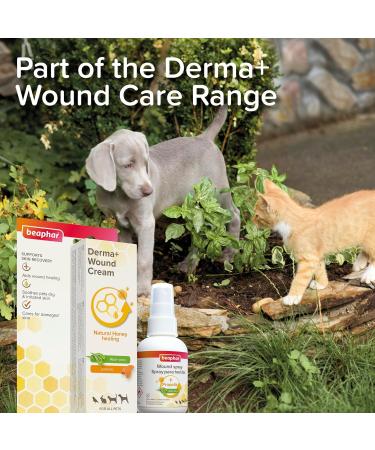 Beaphar - Derma+ Wound Cream for Pets - First aid Treatment and soothing cream with honey for Superficial Cuts & Abrasions -Supports skin recovery wound healing & soothes dry & irritated skin - Suitable for all pets - 30 ml - Buy Online on GoSupps.com