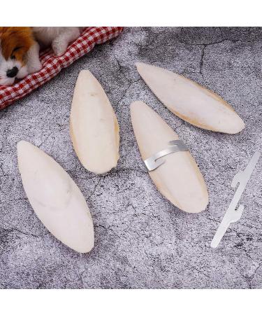 Bohoman 4-Piece Sepia Shell Parrot Chewing Toys with Metal Holders - Ideal for Birds Reptiles & Snails | 12-14cm - Buy Online on GoSupps.com