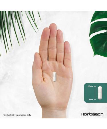 Horbaach MultiStrain ProBio and Prebiotic 22B 180 Capsules Probiotics and Prebiotic Supplement 3 Months Delivery Horbach - Buy Online on GoSupps.com