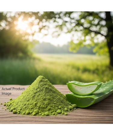 Aloe Vera Herbal Powder for External Use For DIY Face & Hair Packs | 3.5 oz (100g ) Aloe Vera 3.53 Ounce (Pack of 1) - Buy Online on GoSupps.com