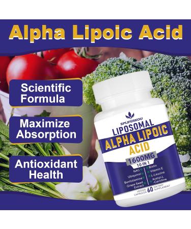 Liposomal Alpha Lipoic Acid 1600mg - Antioxidant Health Supplement for Energy & Metabolism | Gluten Free & Non-GMO - 180 Capsules - Buy Online on GoSupps.com
