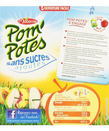 Materne Pom'Potes Gourds 5 Fruits Apple & Yellow Fruits without Added Sugar 4 x 90 g - 360 g - Pack of 6 - Buy Online on GoSupps.com