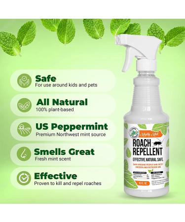 Mighty Mint 16oz Natural Peppermint Oil Spray - Cockroach Repellent - Buy Online on GoSupps.com