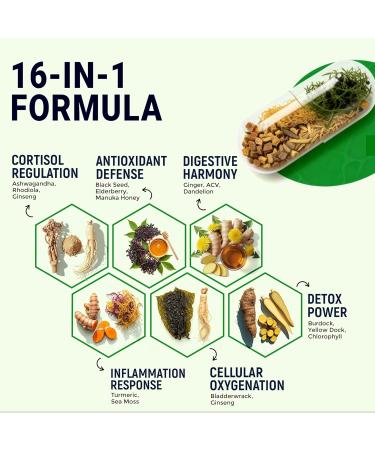 Sea Moss Black Seed Oil Ashwagandha Ginger - Advanced Irish Sea Moss Capsules All in One Supplement with Seamoss Black Seed Oil Ashwagandha Burdock Root Bladderwrack - Pills for Energy, Immune, Gut - Buy Online on GoSupps.com