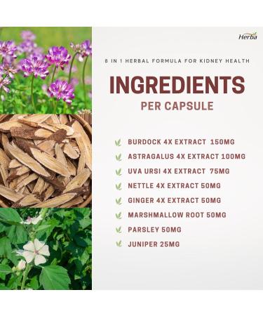 Herba Kidney Cleanse Supplement 120 Capsules | 8 Herbal Ingredients | Astragalus Root Uva Ursi Burdock Juniper Berry Nettle Leaf Ginger and More | Kidney Cleanser | Made in Canada - Buy Online on GoSupps.com