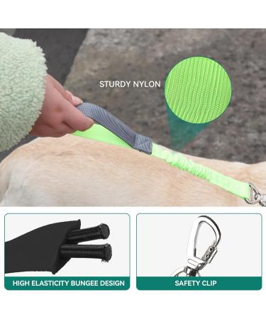 Yithome Dog Leash with Seat Belt Snaps | Training Leash for Small Medium & Large Dogs | 2 Traffic Handles & Carabiner Hooks | Blue Nylon Rope - Buy Online on GoSupps.com