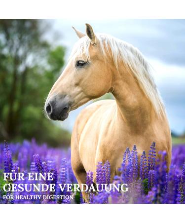 Stiefel Wurmkr uter 1 kg T te geschnittene Kr uter - Buy Online on GoSupps.com