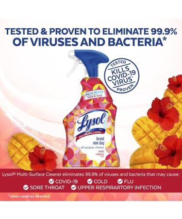 Lysol Bathroom Cleaner Mango & Hibiscus 32 Oz - Pack of 3 | International Shipping Available - Buy Online on GoSupps.com