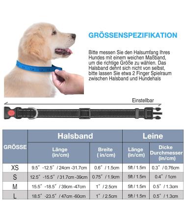 Haapaw Reflective Dog Collar - Padded Soft Neoprene Nylon for Small & Medium Dogs - Black (1 Pack) - Buy Online on GoSupps.com