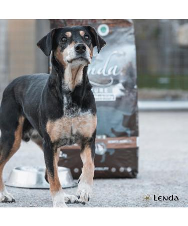 Lenda Senior Mobility Dog Food for Senior or Adult Dogs with Joint Pain | Hypoallergenic Food Rich in Turkey | Natural and Low in Fat Senior Dog Food - Buy Online on GoSupps.com