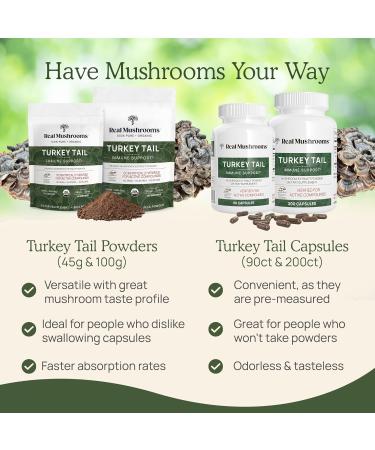 Real Mushrooms Turkey Tail Capsules Organic Mushroom Extract for Daily Wellness, Gut Harmony, Energy Support Vegan, Non-GMO, No Fillers Turkey Tail Extract 200 Count Mushroom Supplement - Buy Online on GoSupps.com