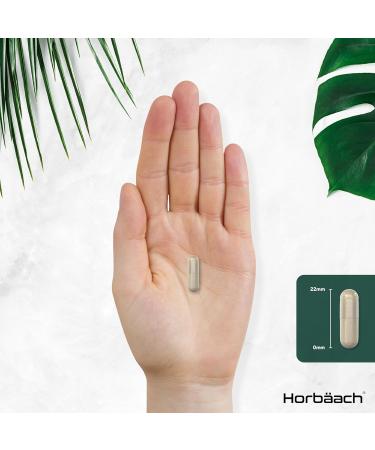 Liver Support Supplement | Advanced Complex Formula with 14 Essential Ingredients: Artichoke Extract Dandelion Root & More! | 120 Vegetarian Capsules | by Horbaach - Buy Online on GoSupps.com