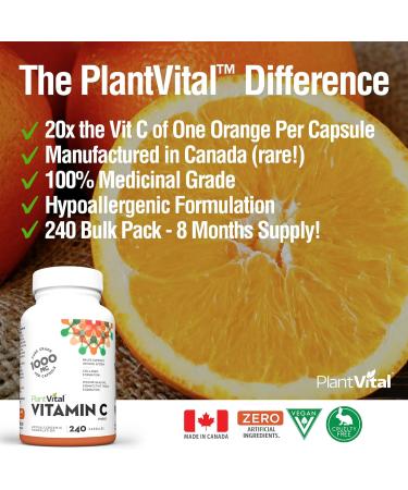 PlantVital Vitamin C 1000mg MAXIMUM STRENGTH -Vit C Supplements helps support immune system collagen and connective tissue formation - Stronger bones teeth and gums - 8 Months Supply - 240 Capsules 240 Count (Pack of 1) - Buy Online on GoSupps.com