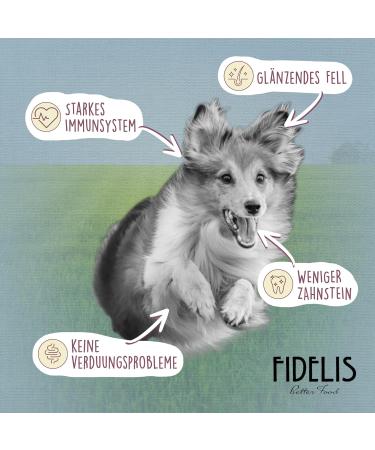 Training Bones for Rabbits with Apple & Kale - 1kg Bucket | Premium Pet Treats for Healthy Pets - Buy Online on GoSupps.com