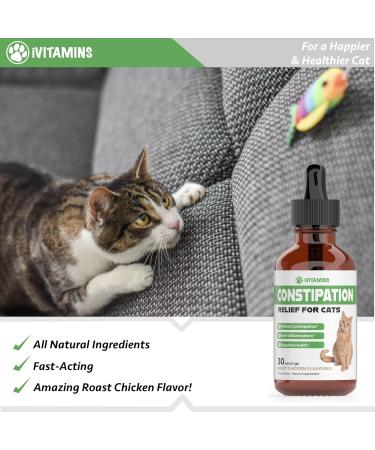 Cat Constipation Relief - May Help to Soften Stool Ease Bowel Movements & Much More - Supports Healthy Digestion - Cat Laxative - Constipation Relief for Cats - 1 fl oz - Chicken Flavor - Buy Online on GoSupps.com