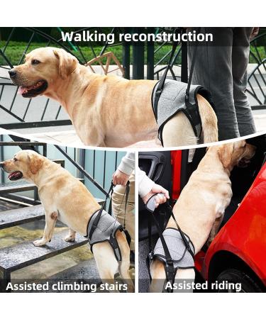 Dog Lifting Harness for Medium Dogs | Adjustable Support for Back Legs | Pain Relief & Rehabilitation | Lift Handle - Buy Online on GoSupps.com