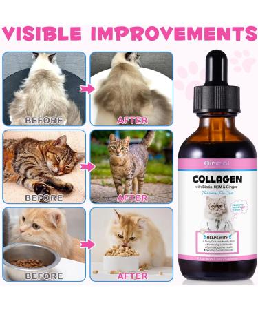 Collagen for Cats -with Biotin Msm & Collagen-Shiny Coat and Healthy Skin-Maintaining Joint Health-Optimal Digestive Health-Boosting Overall Immunity-Salmon Flavor-2 fl oz - Buy Online on GoSupps.com