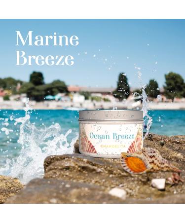 Chandelita Sea Breeze Fragrance Candle | Natural Soy Wax & Mussels | Relax & Meditate for Well-Being - Buy Online on GoSupps.com