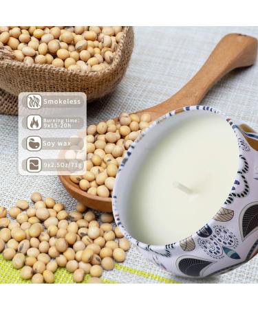 Fragrance Candles Gift Set for Women - 9 pcs Soy Wax Aromatherapy for Home | Perfect Mothers Day & Birthday Gift | Stress Relief Sandalwood - Buy Online on GoSupps.com