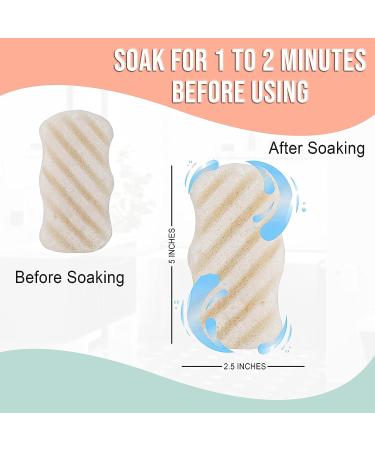 Pure SOL Konjac Exfoliating Bath Sponge - Turmeric Exfoliating Sponge for Brightening and Deep Cleansing | Clean Pores, Remove Impurities - 100% Natural for All Skin Types - Buy Online on GoSupps.com