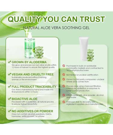 CLY AMS Organic Aloe Vera Gel for Face Hair Skin & Body with Centella Asiatica Alcohol Free Sun Skin Care Sunburn Relief (300ml/10 Fl Oz) - Buy Online on GoSupps.com