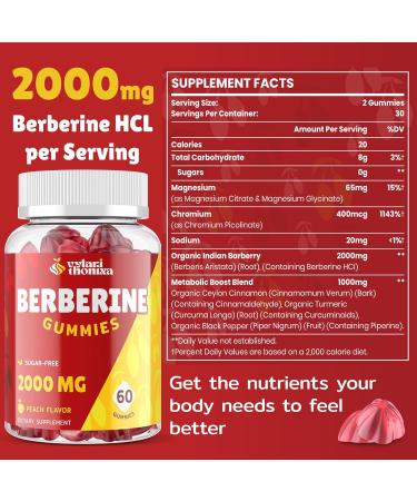 2000mg Berberine Supplement Gummies High Potency Wellness Blend with Ceylon Cinnamon Turmeric Magnesium & Chromium Vegan Non-GMO Gluten-Free Peach Flavor 60 Gummies - 1 Pack 60 Count (Pack of 1) - Buy Online on GoSupps.com