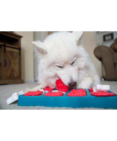 Nina Ottosson Interactive Treat Puzzle Game Dog Toy Level 2 - Teal/Red/White/Brown - Buy Online on GoSupps.com