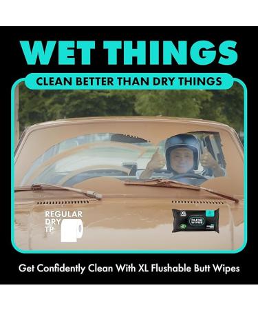 Dude Flushable Wet Wipes 3-Pack - Mint Chill - 144 Count - Vitamin-E  Aloe  Eucalyptus & Tea Tree Oils - Septic Safe - Buy Online on GoSupps.com