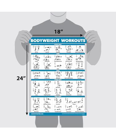 Quickfit Dumbbell Training & Body Weight Exercise Poster - Laminated 2 Diagrams 45.7 x 68.6 cm - Ideal Fitness Routine Guide for Home Workouts - Buy Online on GoSupps.com