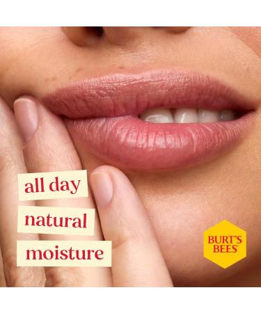  Burt's Bees Burt's Bees Birthday Cake Scented Lip Balm moisturizing lip care with beeswax and vitamin E 100% natural origin 4.25 g - Buy Online on GoSupps.com