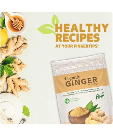 Nortembio 100g Biological Ginger Powder | 100% Natural Vegan Gluten-Free - Perfect for Infusions! - Buy Online on GoSupps.com