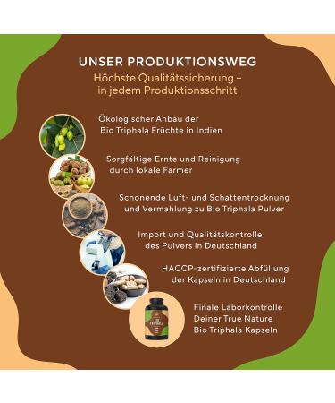 Buy Organic Triphala 360 Capsules - 2000mg High Dose - Vegan Additive-Free - Premium Indian Fruits - True Nature - Laboratory Tested in Germany - Buy Online on GoSupps.com