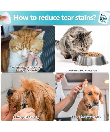 Darkhaden Pet Care Wipes - 150 Hypoallergenic Wet Wipes for Dogs & Cats - Natural Aloe Vera Cleaning Towels for Ears Paws & Eyes - Buy Online on GoSupps.com