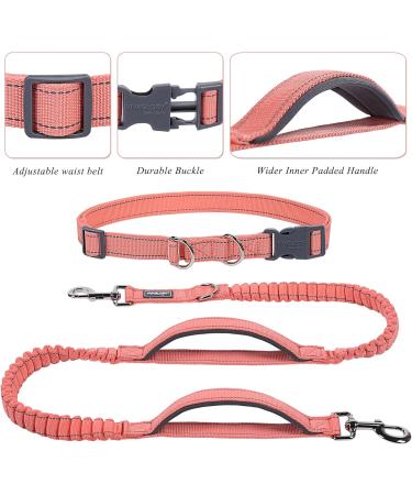 Vivaglory Reflective Waist Dog Leash for Medium Large Dogs - Anti-Shock Bungee Padded Handles Adjustable 65-112cm - Perfect for Training & Jogging - Pink & Gray - Buy Online on GoSupps.com