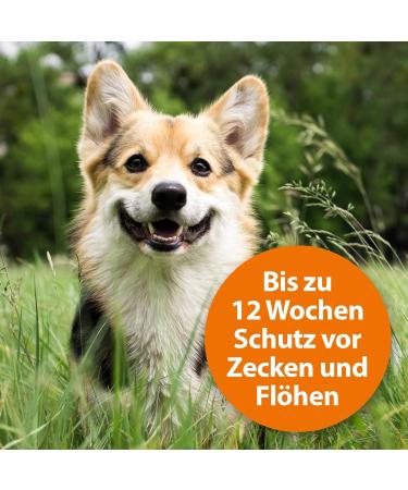 ARDAP Spot On for Medium Dogs (10-25kg) - Natural Tick & Flea Protection - 3 Tubes 12 Weeks Long-Lasting Remedy - Buy Online on GoSupps.com