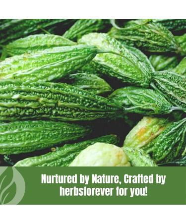 HerbsForever Bitter Melon Powder Fruit & Seeds- Carb Control Rich in Vitamin Mineral & Bitter - Wild Harvested -Non GMO Vegan- 2X Potency | Ultra Clean |Fresh Seasonal | Steam Sterilized |16oz-1LBS 454_GMS - Buy Online on GoSupps.com