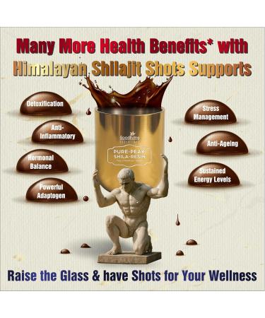 Pure Himalayan Shilajit Resin | High Potency for Men & Women | 75 Servings for Stamina and Muscle Building, 85+ Trace Minerals, 75%+ Fulvic Acid with Lab Report - Buy Online on GoSupps.com