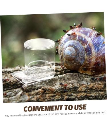 ORFOFE Pet Water Feeder Ant Waterer Ant Feeder Station Ant Bottle Feeder Ant Water Drinking Cup Plastic - Buy Online on GoSupps.com