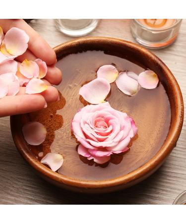 BioFresh Rose of Bulgaria Natural Rose Water & Oil - Facial Toner 330ml | Organic Skincare - Buy Online on GoSupps.com