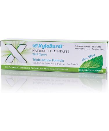 Buy Xyloburst Fluoride-Free Xylitol Toothpaste - Cool Mint SLS-Free & Cruelty-Free 4 oz - Made in USA - Buy Online on GoSupps.com