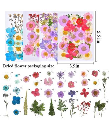 160pcs Dried Pressed Flowers for Resin Crafts - Bulk Natural Herbs Kit for DIY Art Projects - Epoxy Resin, Candle, Soap Making - Set A - Buy Online on GoSupps.com