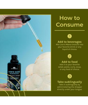 Naturealm Lion s Mane Mushroom Liquid Tincture Supplement Focus Memory & Brain Health Vegan Non-GMO Organic Fruiting Bodies 1 Month Supply Lion's Mane 1.69 Fl Oz (Pack of 1) - Buy Online on GoSupps.com