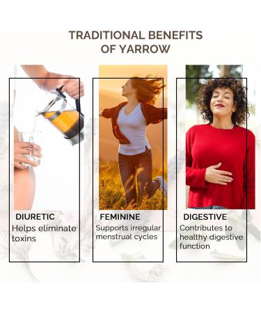 Herbes du Monde Tisan Achill e Millefuille Shilling Detox infusion and Digestive Soulage Menstrue 50g - Buy Online on GoSupps.com