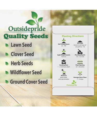 Outsidepride Milk Thistle: Mediterranean Ornamental Herb Plant - 200 Seeds - Buy Online on GoSupps.com