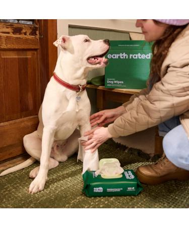 Earth Rated Biodegradable Dog Wipes - Lavender Scent 400 Count - Easy Use for Paws Body & Butt - Eco-Friendly Pet Care - Buy Online on GoSupps.com