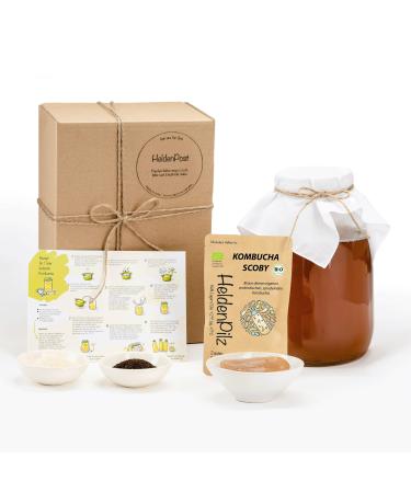 Helden Mazilz |Organic Kombucha Scoby |Strong tea mushroom |Skoby + approach fluid + gift |Manufacture up to 6 liters |100% natural ingredients |Organic sustainable and plastic -free package kombucha set large