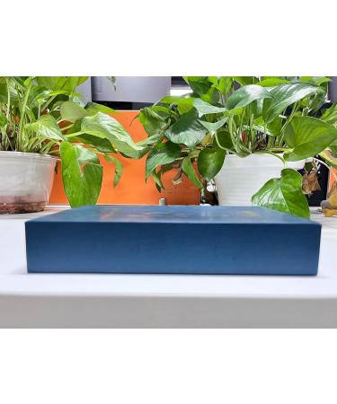 Derma Pen Hair Beard Growth INCELLICE Microneedling Pen 0.25-2.0mm Adjustable 5 Speeds Wireless Use Professional Electric Beauty Pen for Face Skin Care with 2 Replacement Cartridges and USB Charger Dermapen P40-Gery - Buy Online on GoSupps.com