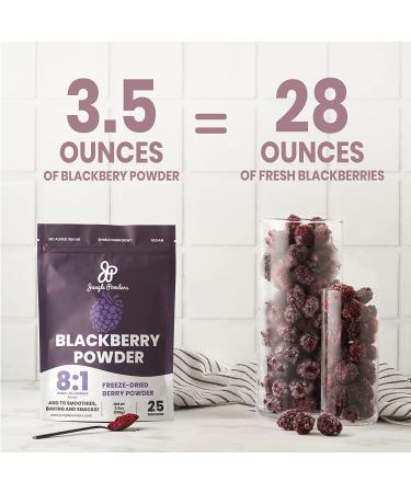 Jungle Powders Freeze Dried BlackBerry Powder 3.5oz - GMO-Free Purple Superfood Extract - Buy Online on GoSupps.com